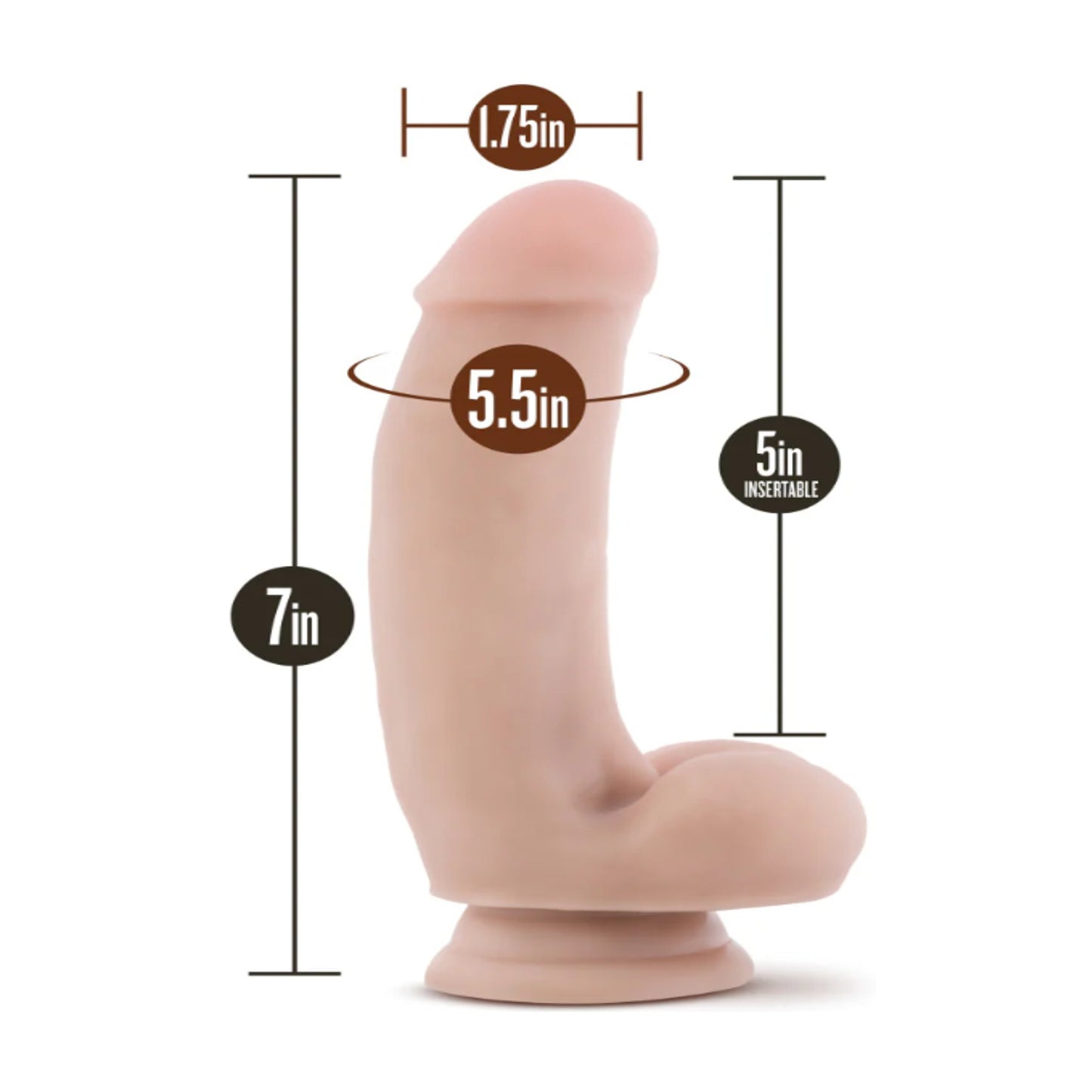 Measurement guide showing dildo dimensions and insertable length