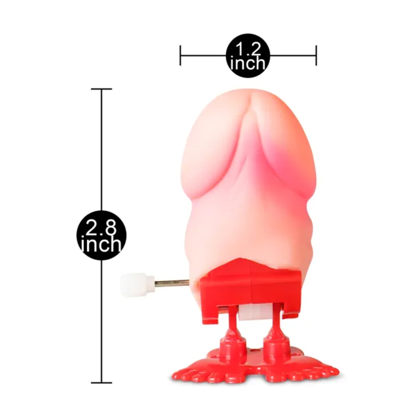 Wind-up novelty pecker with measurement guide displayed