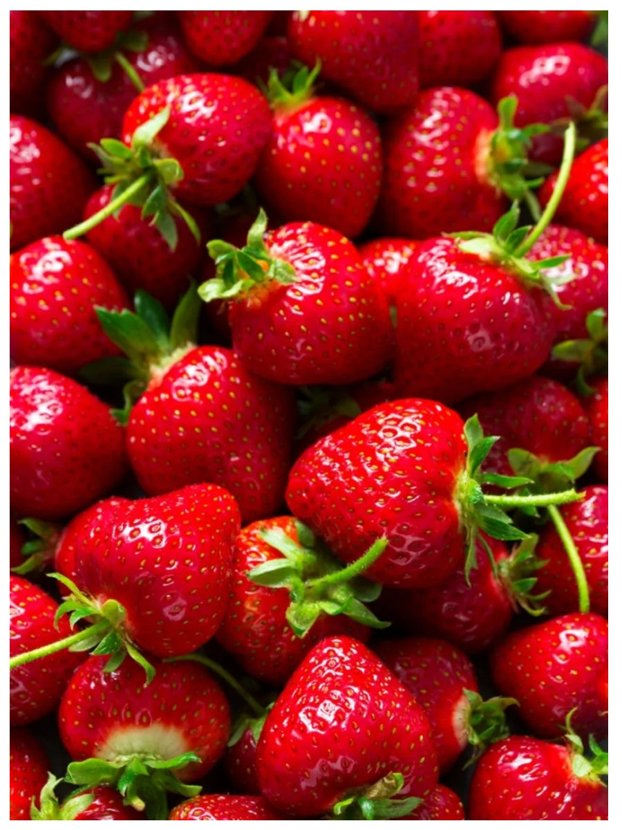 Wet Stuff Strawberry 100g Water Based Lubricant