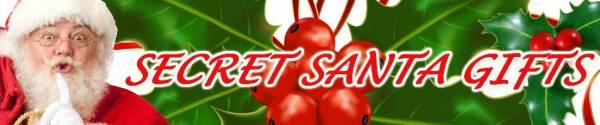 Secret Santa Gifts - Passionzone Adult Store