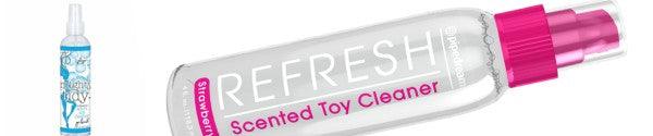 Toy Cleaners & Storage - Passionzone Adult Store