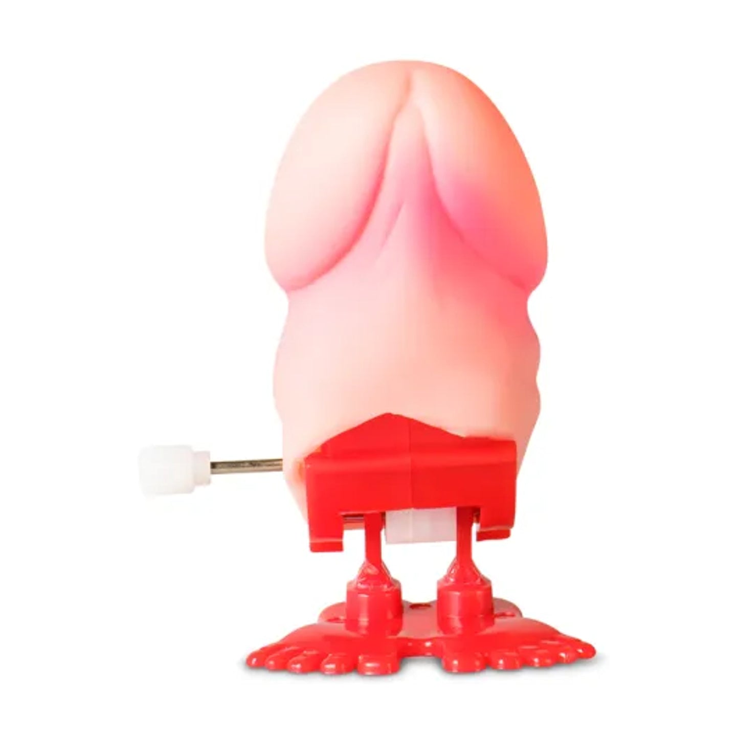 Front view of wind-up novelty pecker standing upright