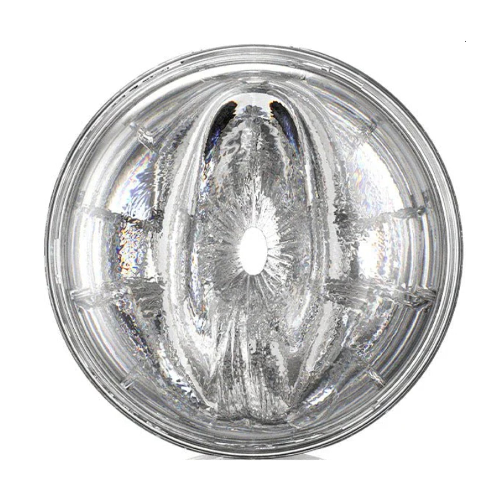 Anal entrance detail of Compact Creme texture