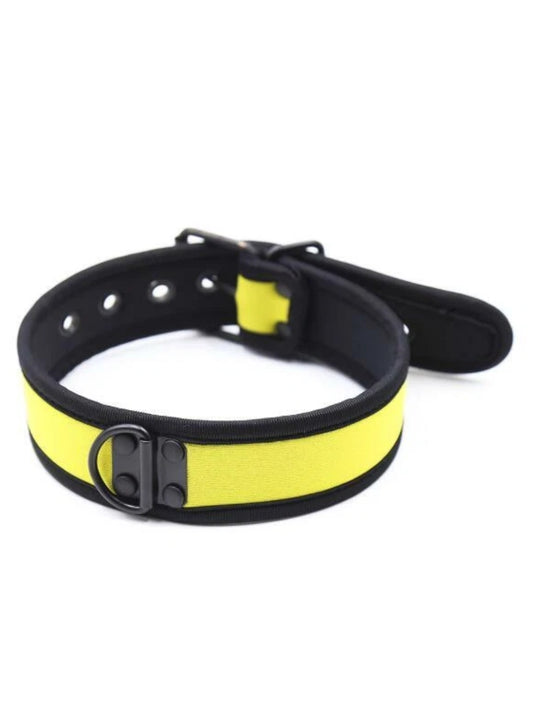Neoprene Collar Yellow