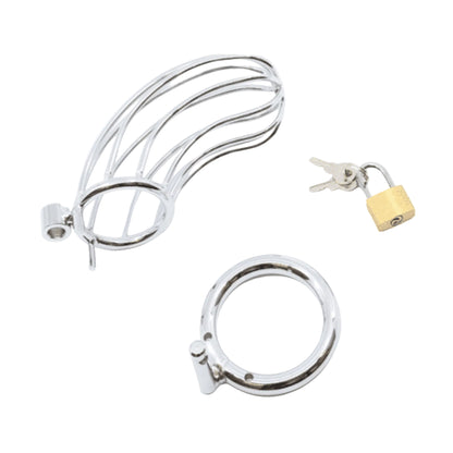 Complete kit with cage ring lock and keys