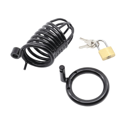 Complete kit with cage ring lock and keys