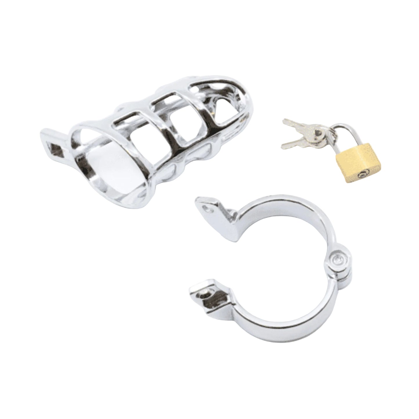 Complete kit with cage ring lock and keys