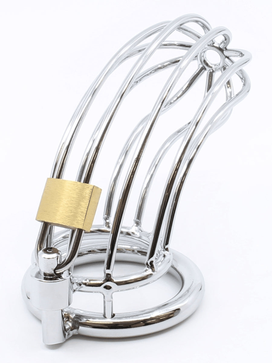 Love In Leather Birdcage Cock Cage 45mm