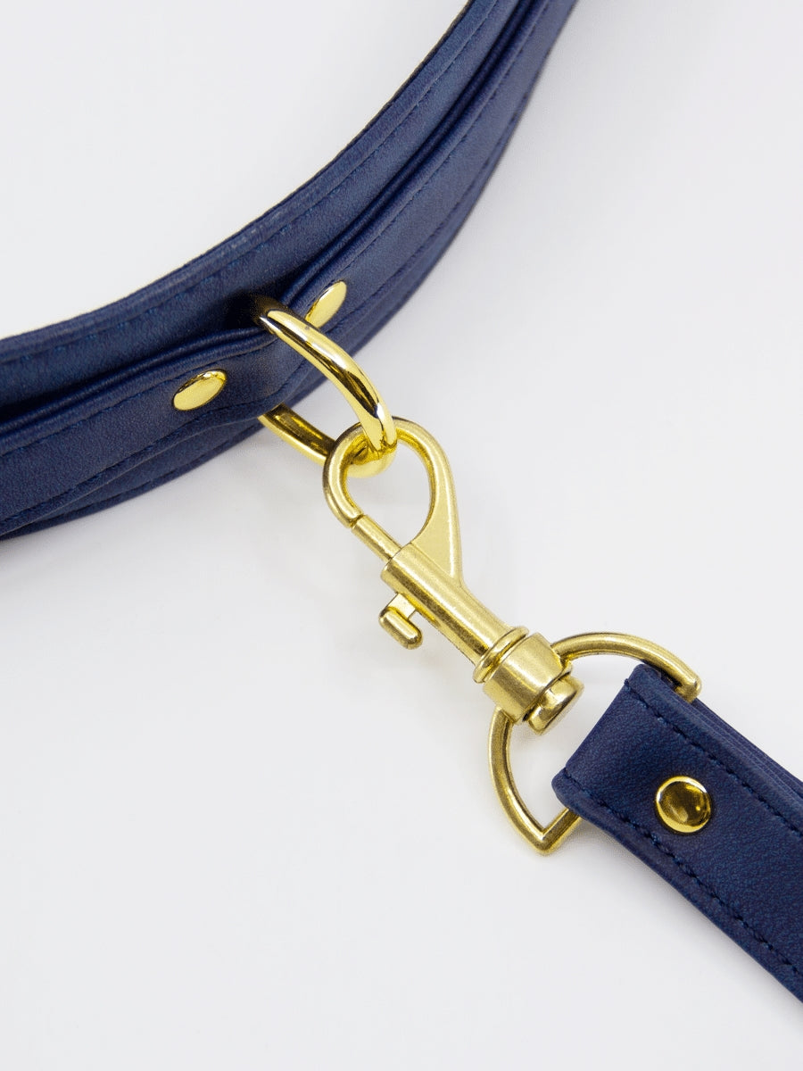 Love In Leather Faux Leather Collar & Lead Blue