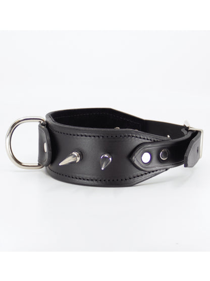 Love In Leather Long Spiked Collar