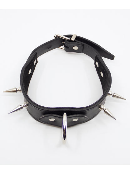 Love In Leather Long Spiked Collar