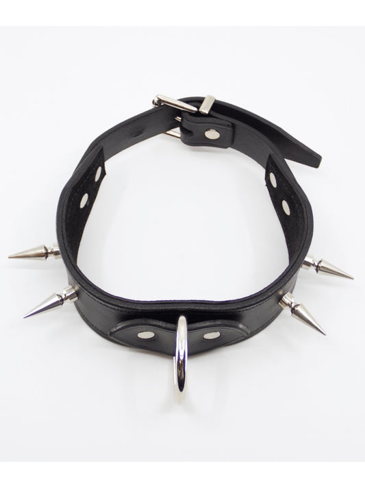 Love In Leather Long Spiked Collar