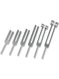 Delish Sex Tuning Fork 5 Piece Set - Passionzone Adult Store