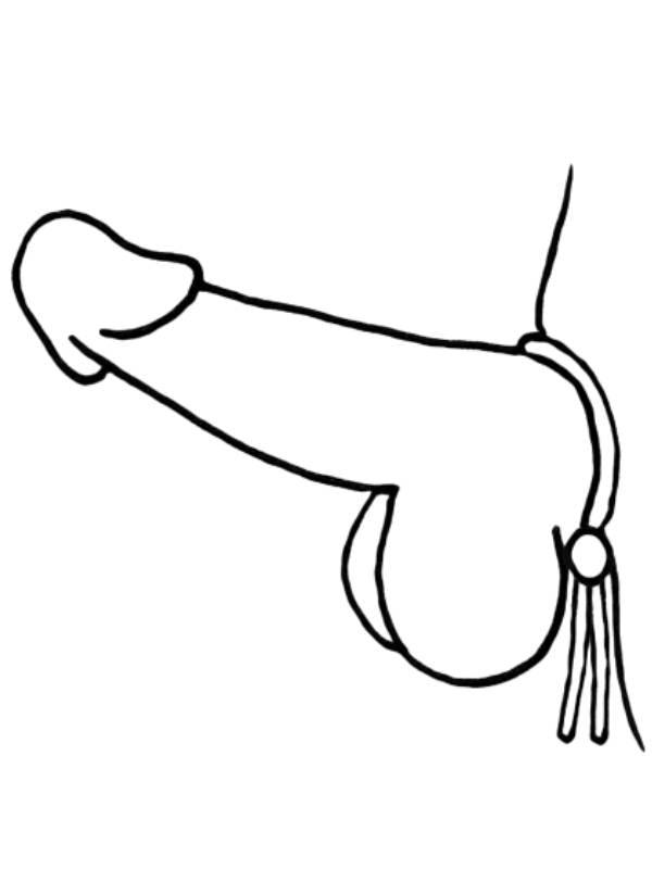 Love In Leather Silicone Cock Lasso Solid - Passionzone Adult Store